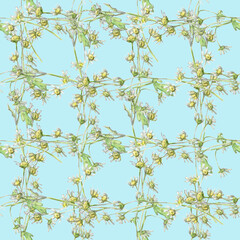 Watercolorseamless pattern with pastel small flowers chamomile drawn by hand. Сellular ornament on a bright blue background.