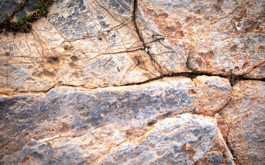 Poster - Stone texture or background. Natural material