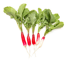 fresh radish with leaves on white background