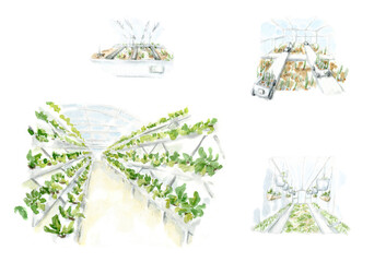 Innovative technologies for agriculture. Watercolor illustration of urban farming. Modern technologies for growing eco plants, farm develop, hydroponics. Urban agricultural landscape for poster, print