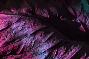 Aufkleber - Close up Beautiful abstraction  leaf texture in purple neon light. Minimalism retro style concept. Background pattern for design. Macro photography view.