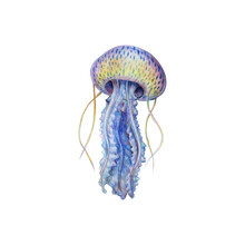 Blue And Yellow Jellyfish With Speck Of Blue And Tentacles Hand Drawn Coloured Pencils Illustration