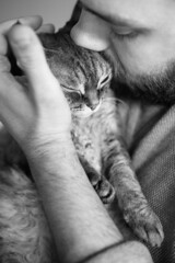 Cropped black and white photo of handsome young guy with his cat. Beard man is holding and lightly stroking his cute tabby Devon Rex kitty. Love pets concept. Feline feels content being with owner.