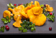 Assorted edible mushrooms on an old dark background. Vegetarian healthy product. Healthy lifestyle.