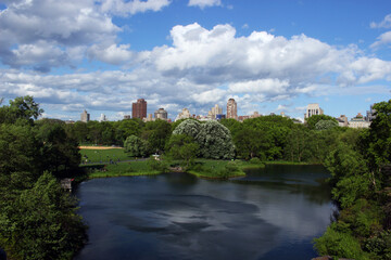 new york central park