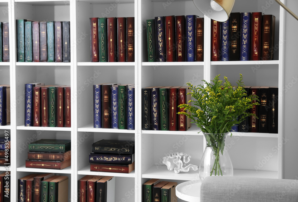 Bookcase in modern interior of room