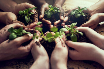 Poster - Handle the future with care. Closeup shot of a group of people each holding a plant growing in soil.