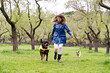 Front view of woman with dogs running in the park. Horizontal full body view of caucasian woman in raincoat walking dogs on green background. Animals and people concept.