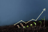Fototapeta  - wzrost roślin, inwestycja i rozwój na przykładzie sadzonek roślinnych i wykresów