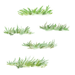 Watercolor set of grass icon. Hand-drawn grassland isolated on the white background.