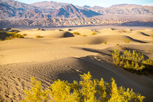 Sand Dunes Against Mountains In Death Valley, Eastern California, Mojave Desert, USA.