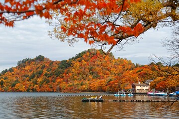 Wall Mural - Beautiful scenery of lakeside mountains covered with colorful Japanese maple trees and sightseeing boats on magnificent Lake Towada in autumn season, in Towada Hachimantai National Park, Aomori, Japan
