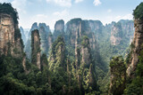 Fototapeta  - Natural scenery of Zhangjiajie national forest park, a world natural heritage site