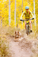 Young Woman Mountain Biking With Her Dog In The Fall