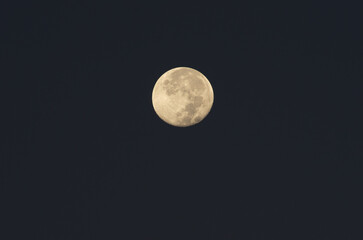 Wall Mural - Image of the full moon shown in the evening.
