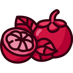 mangosteen Two Tone icon