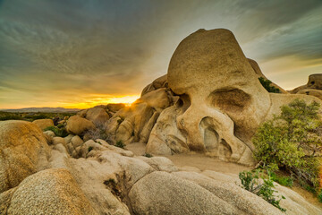 Sticker - Beautiful view of the sunrise from the Skull rock in Joshua Tree National Park, California