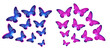 butterfly set background with butterflies