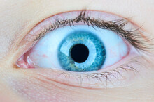 Macro Of Blue Child Girl Eye. High Selective Focus. Detail Of Eye
