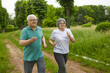 © Studio Romantic - Happy elderly couple retired running in the park in the fresh air. Retirees in sportswear jogging in the park in the morning, happy family and good physical activity.