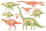 Fototapeta Dinusie - Skeleton of carnivorous and herbivorous foot-and-mouth disease. Archaeological excavations of dinosaur fossils. Studies of ancient animals. Vector illustration on a white background.