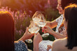 The girls arranged a picnic at sunset. Picnic in the fresh air with wine. Close-up of the girls' hands as they clink glasses with wine.