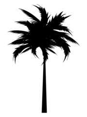 Sticker - leafy tree palm silhouette