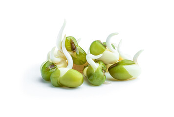 Sprouted mung beans isolated on white background