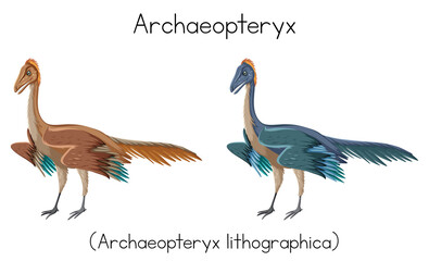 Wall Mural - Archaeopteryx in two colors