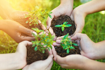 Poster - Protecting our precious resources. Cropped shot of a group of people each holding a plant growing in soil.