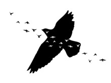 Silhouette Flying Abstraction Birds On White Background. Tattoo. Vector Illustration