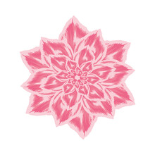 Pink Flower Icon