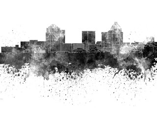 Wall Mural - Greensboro skyline in black watercolor