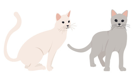 Wall Mural - cats flat design, isolated, vector