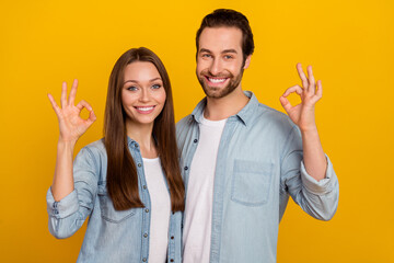 Wall Mural - Photo of positive good mood sister brother dressed denim shirts showing okey signs isolated yellow color background