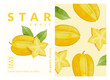 Star fruit, Carambola packaging design templates, watercolour style vector illustration.