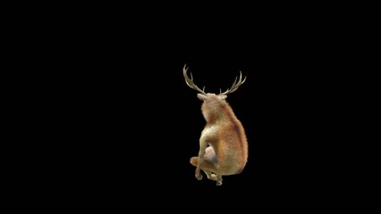 Wall Mural - deer dancing cg fur 3d rendering animal realistic cgi vfx animation loop composition 3d mapping cart