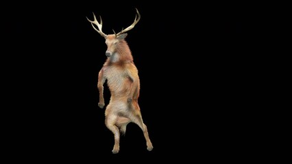 Wall Mural - deer dancing cg fur 3d rendering animal realistic cgi vfx animation loop composition 3d mapping cart