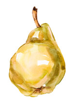 One Watercolor Ripe Juicy Tasty Organic Pear Bere On A White Background.