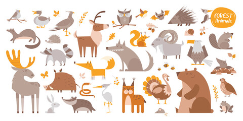 big cartoon set of funny wild forest animals and birds.