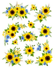 Blue And Yellow Sunflowers, Gerbera Flowers, Cornflowers, Dandelion Flowers, And Green Leaves. Set Of Floral Design Elements Isolated On A White Background