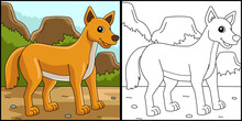 Dingo Animal Coloring Page Colored Illustration