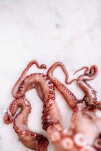 Raw Octopus Tentacles On A Marble Background, Copyspace