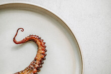 A Grilled Octopus Tentacle, In A White Plate, White Background, Minimal