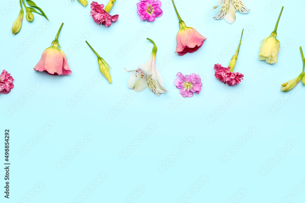 Beautiful flowers on blue background