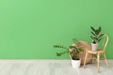 Beautiful houseplants on stylish chair near green wall