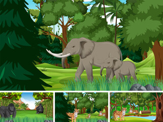 Sticker - Forest scenes with wild animals in the forest