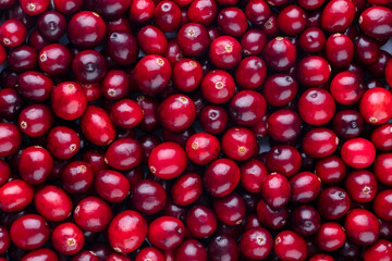 Wall Mural - Cranberry bio background, food background.