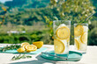 © Caterina Trimarchi - Summer refreshing lemonade drink or alcoholic cocktail with ice, rosemary and lemon slices on the table in the garden. Fresh healthy cold lemon beverage. Water with lemon.