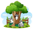 Nature scene with raccoons in the park